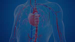 irmelmenzah_service_ANGIO-IRM