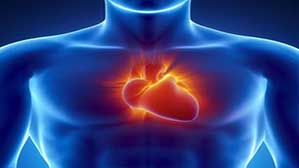 irmelmenzah_service_CARDIAQUE