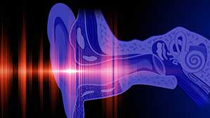 irmelmenzah_service_CERVICALE-ET-ORL1