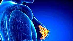 irmelmenzah_service_MAMMAIRE