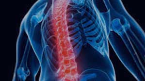 irmelmenzah_service_MEDULLAIRE