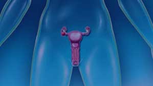 irmelmenzah_service_PELVIENNE